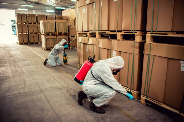 Best Rat Extermination Near Me  in Burns Harbor, IN
