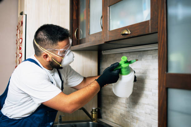Best Pest Control Near Me in Burns Harbor, IN