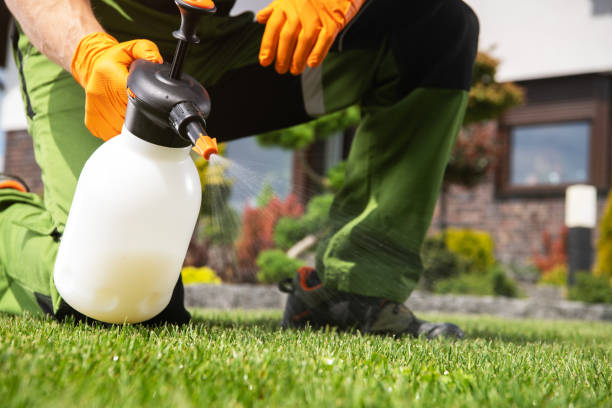 Best Ant Control Services  in Burns Harbor, IN