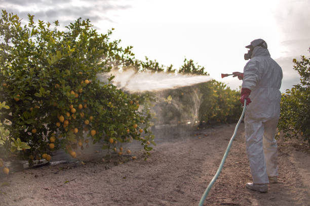 Best Commercial Pest Control Services  in Burns Harbor, IN