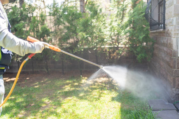Best Wasp Removal Services  in Burns Harbor, IN