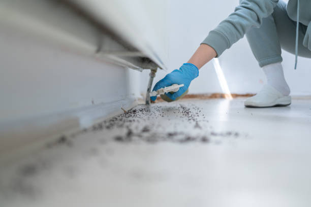 Best Wildlife Control Services  in Burns Harbor, IN