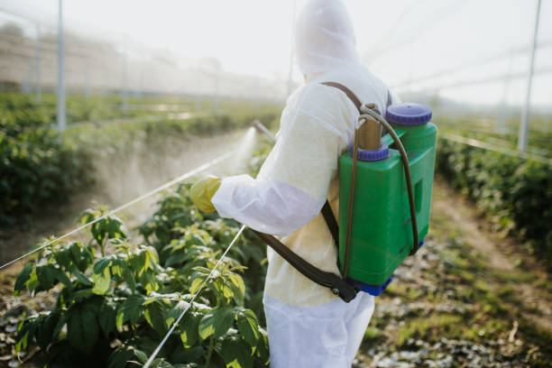 Best Bed Bug Extermination  in Burns Harbor, IN